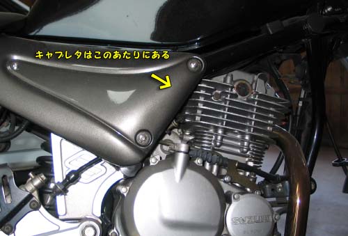 キャブレターはこの辺 goose cab_1