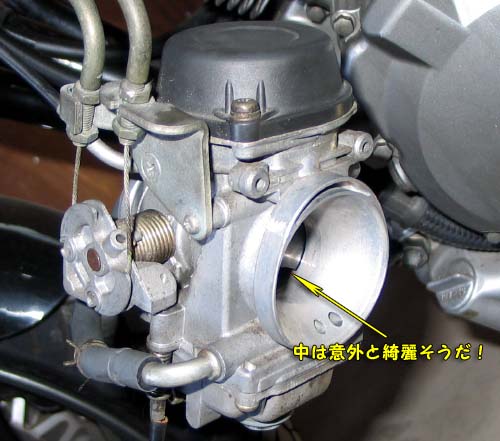 意外と綺麗 goose cab_8