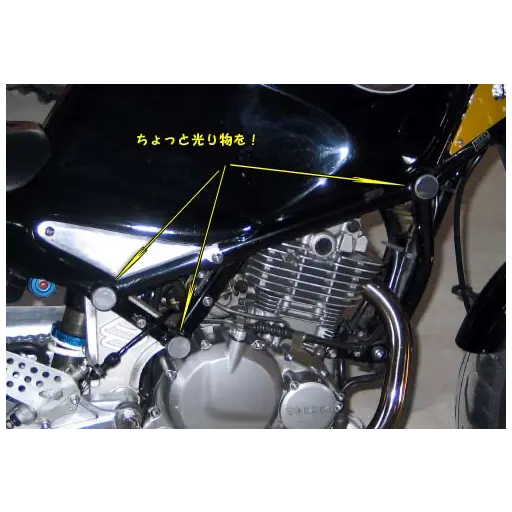 goose250