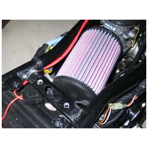 goose250