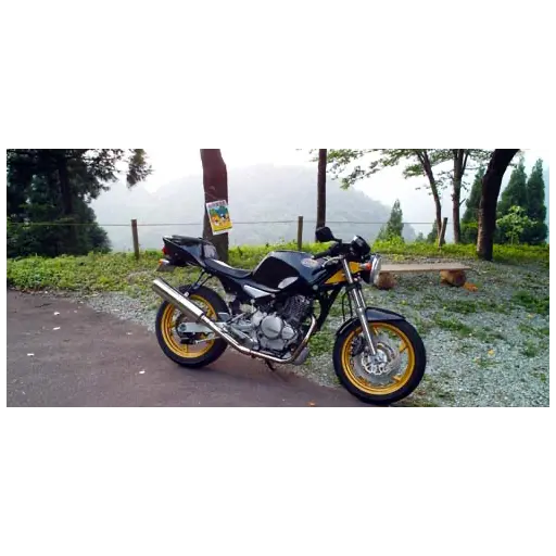 goose250