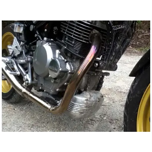 goose250