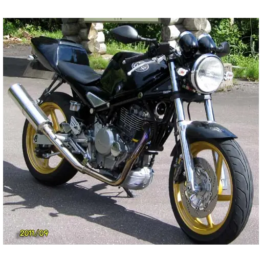 goose250