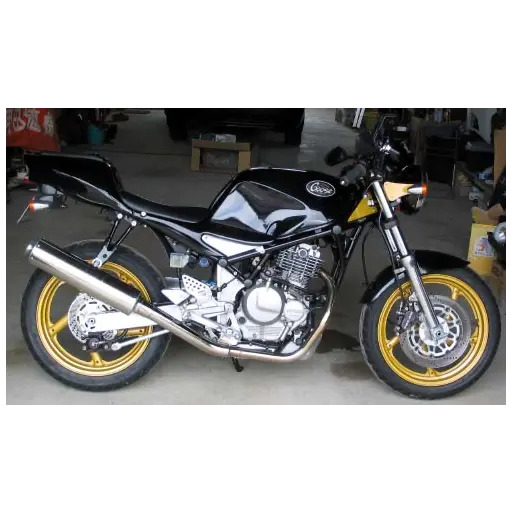 goose250