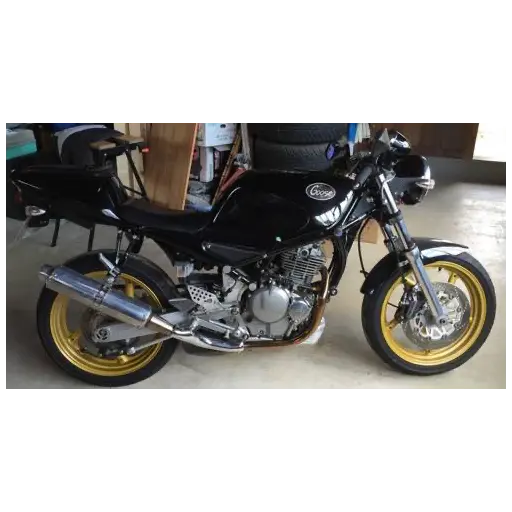 goose250