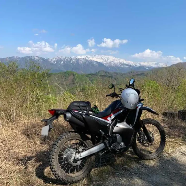 林道大山線