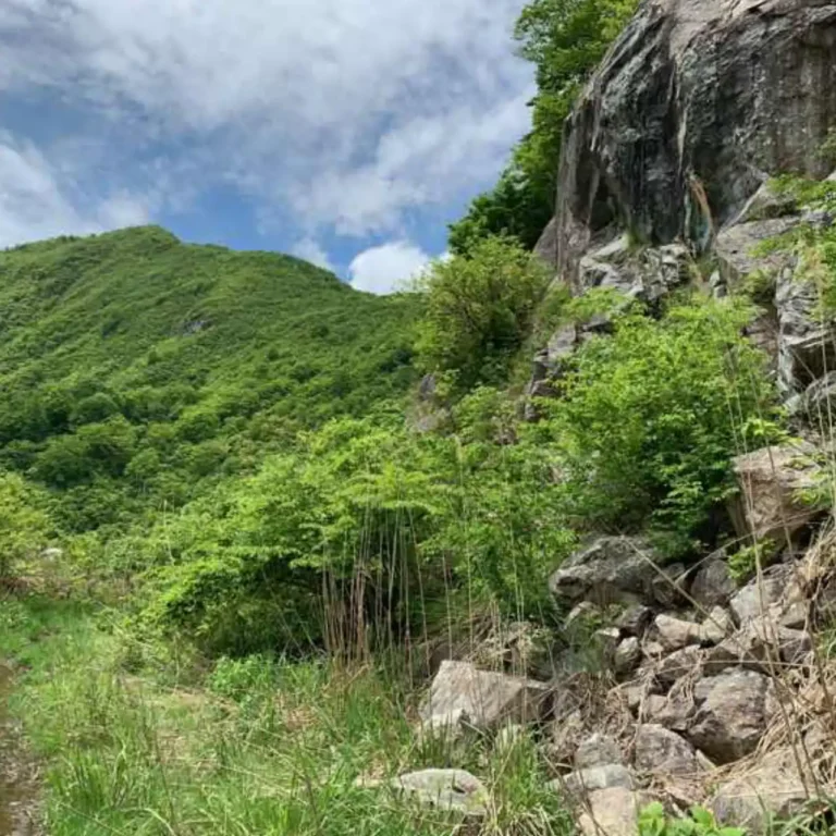 岩屋線