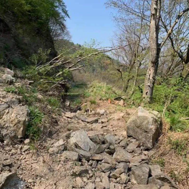 大山線