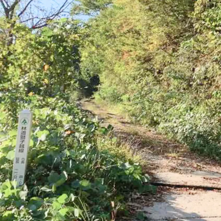林道獅子越戦