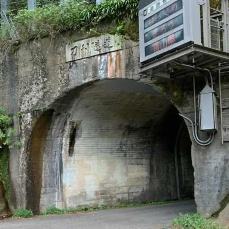 富山県道54号