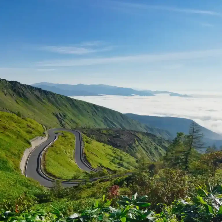 志賀草津道路